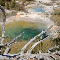 Bluebell Pool