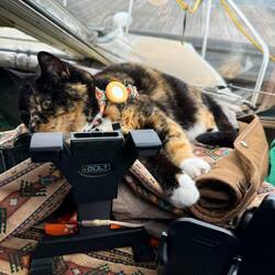 The new perch on the helm