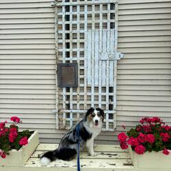 Door to the first town jail built in 1894