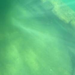 Not the best photo, but exciting to make out what we could of the Bermuda ShipWreck