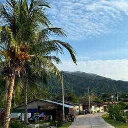 Tioman