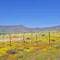 Between Vanrhynsdorp and Vredendal