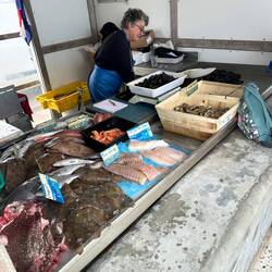 Fischverkauf am Strand
