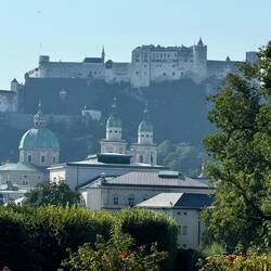 View from the gardens
