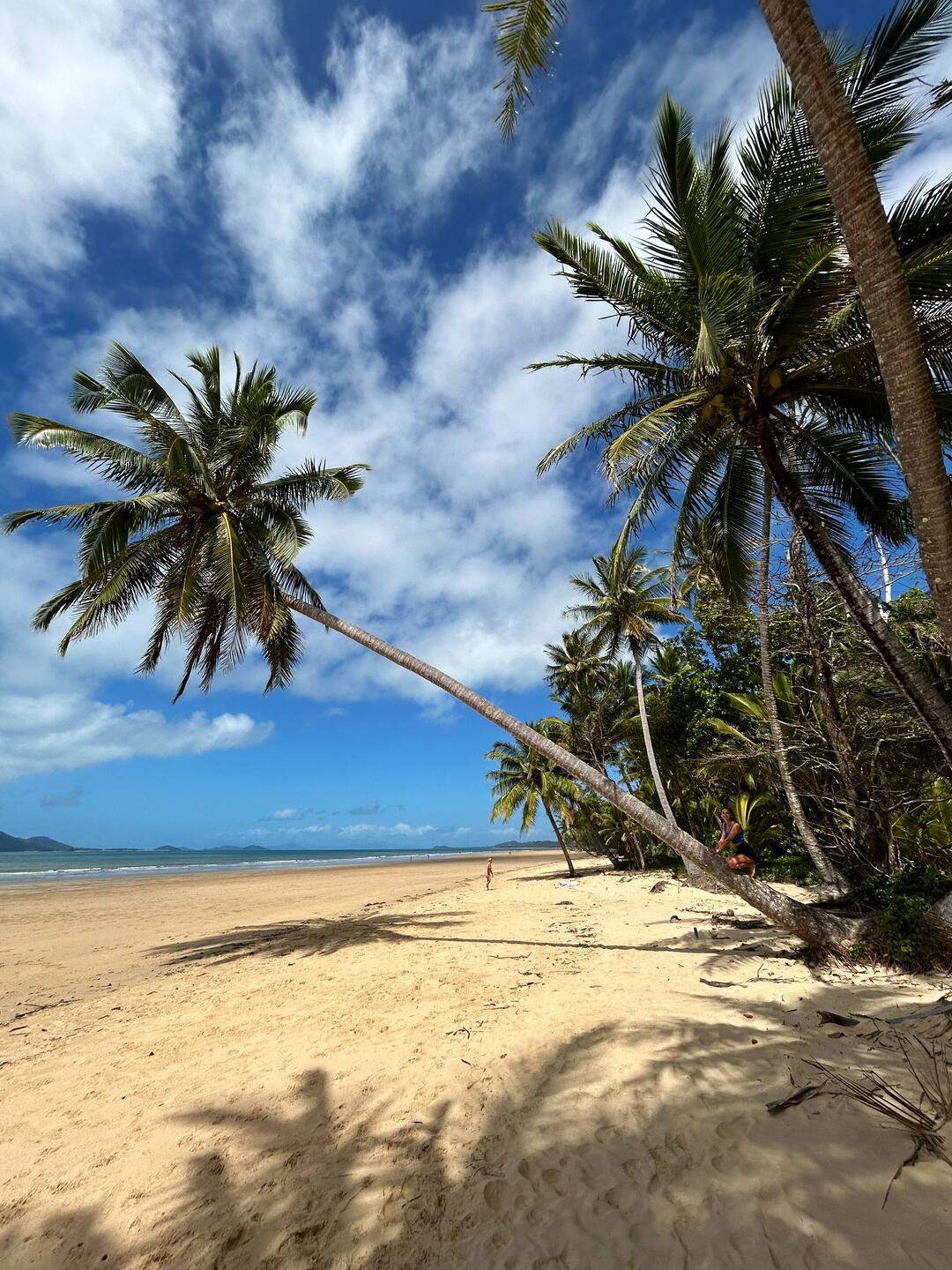 Mission Beach