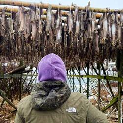Februar 2023; Rolf & Stephan waren auf den Lofoten