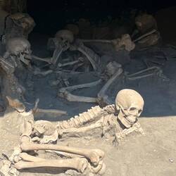 Replicas of the skeletons found