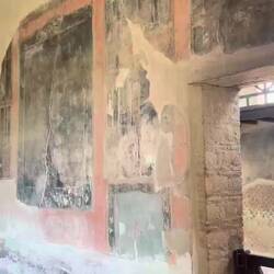 Herculaneum, the black living room