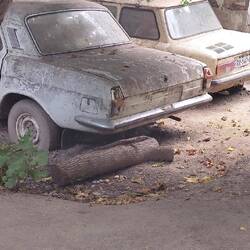 Auto uralt, Nummernschild neu