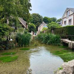 Alles voller Bachforellen