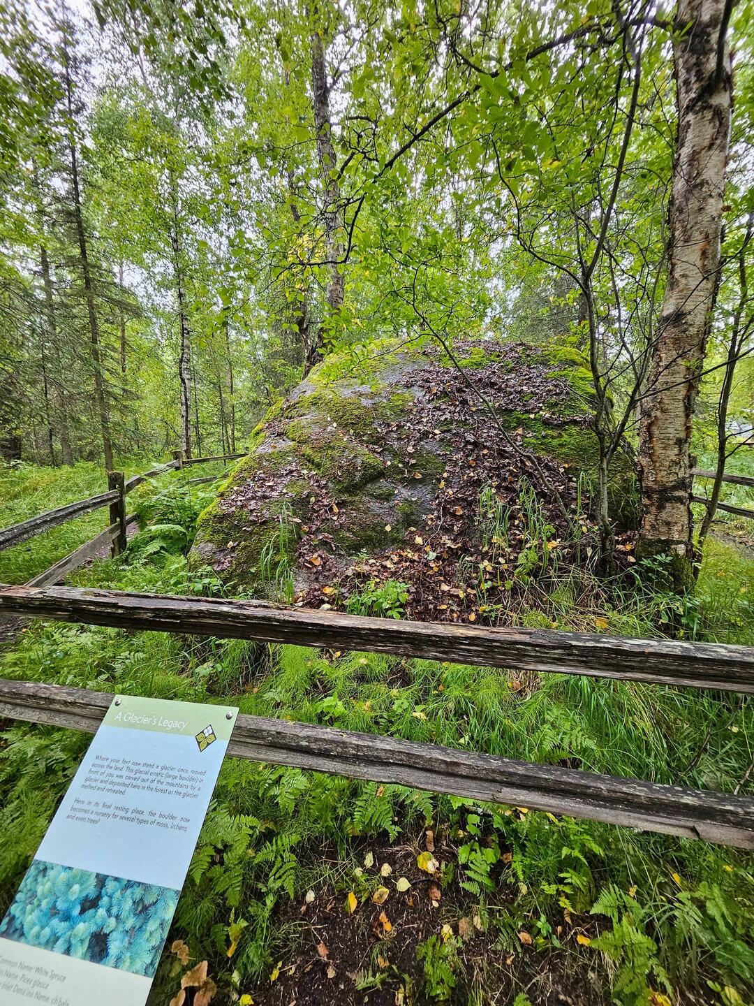 I can't wait to tell my friends. They don't have a rock this big.