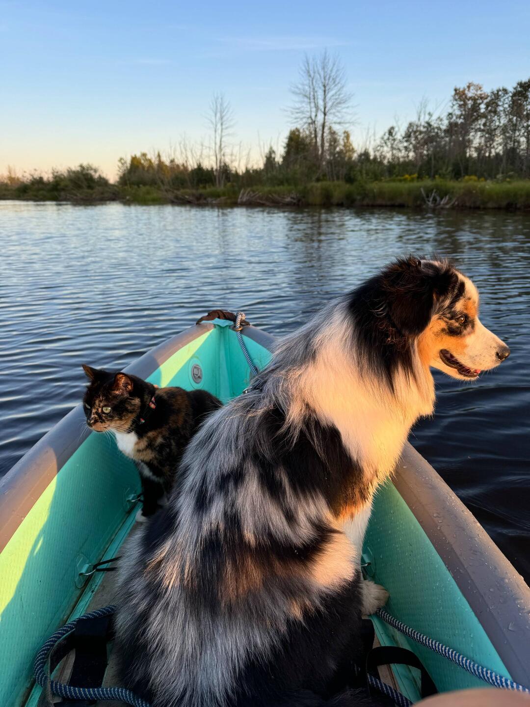 Evening paddle