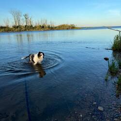Cooling off