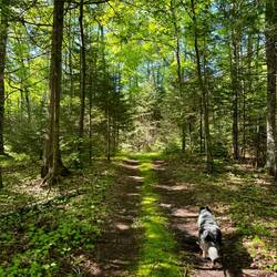 Aldo Léopold Préserve.