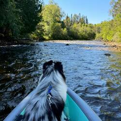 Kayaking Carp River. Rapids ahead