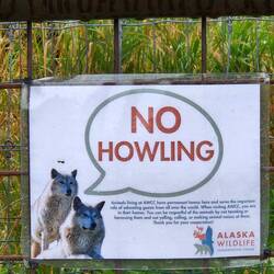 It's probably good they posted this. It did cross my mind...