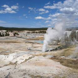 Norris geyser bassin