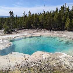 Emerald spring