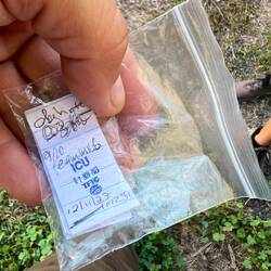 Den Geocache am Camp nehmen wir noch mit