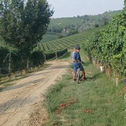 Radtour durch Barolo- Weinbergen