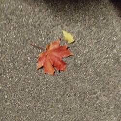 Jo, Herbstanfang offiziell 🍁🍂🍃