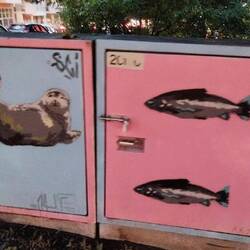 Seltene Süsswasser Robben leben im Seengebiet (ca 400 Stk.) und Maräne (schmackhafter Fisch 🤭)