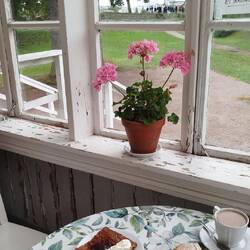 Mit Aussicht und lecker 😋