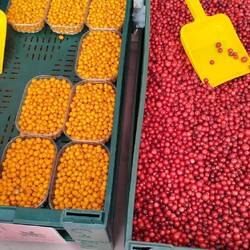 Farbenfroh - Geil, haben Preiselbeeren und Sanddorn für Marmelade gekauft.