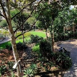 Commonwealth Park