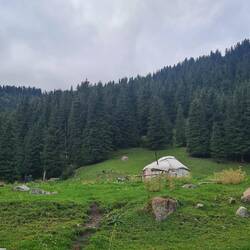 Essential yurt pictures