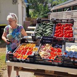 de kraam van de biologische boer aan de weg