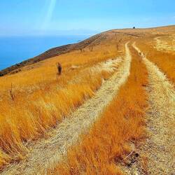 Der Weg zum Plätzli