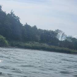 Ruhige See