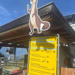 Runter geht's mit dem Rodel 😊