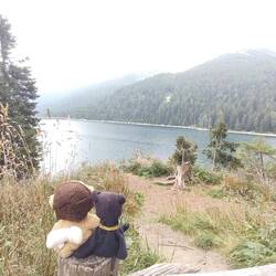 Rast am San Bernhadino Pass