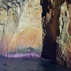 Note the purple coral formation on the rocks