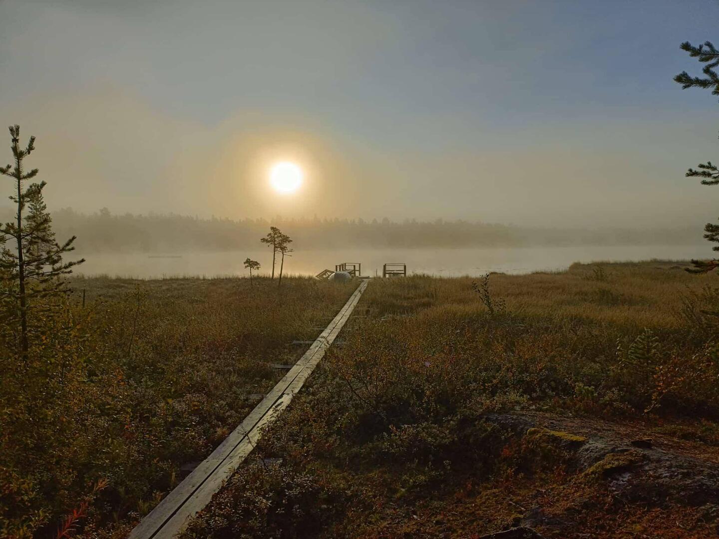 Morgenstimmung am See