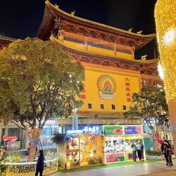 Zwischenlandung in Shanghai - fühlt sich schon wie nach Hause kommen an