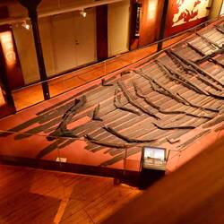Viking ship remains