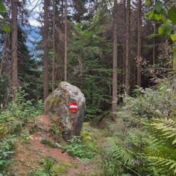 Der Weg dafür umso schöner