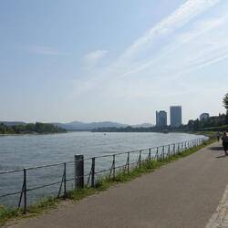 Blick auf den Rhein von Bonn aus