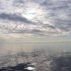 A very calm sea