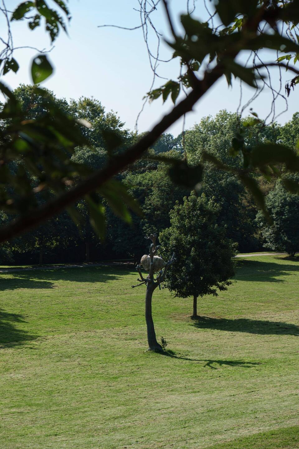 "Idee di Pietra" - Guiseppe Penone