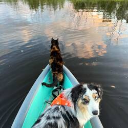 Evening paddle