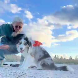 New trick we've been working on called Monkey