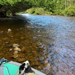 I walked the kayak up the rapids . We kayaked down all but one.