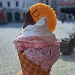So kann doch eine Reise beginnen