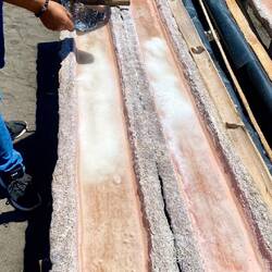 in Holzrinnen erneut ausgetrocknet