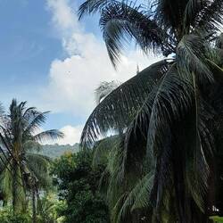 Einzige Straße durch Juara-Dorf