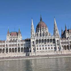 Parlament oder Irrenhaus